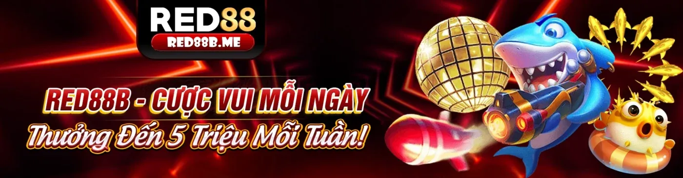 Minh họa cài đặt và quản lý cookie trong trình duyệt của bạn